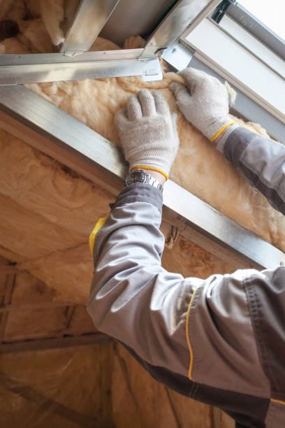 Insulation Repair Services in Sonoma State University, CA